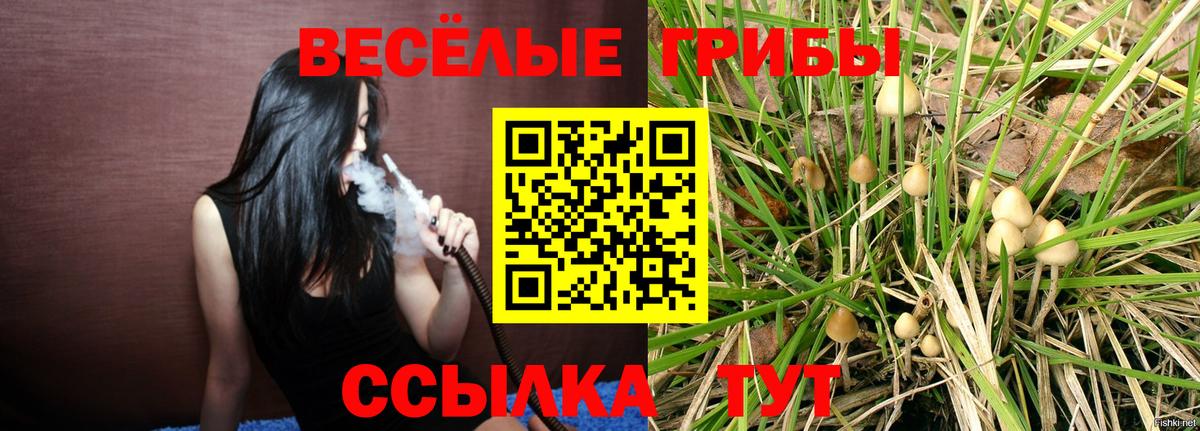 Галлюциногенные грибы MAGIC MUSHROOMS  Вход с VPN  Грозный  Галлюциногенные грибы Psilocybine cubensis 